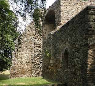 Svojšice zřícenina