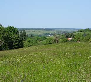 Brunnenweg Pfaffenhofen