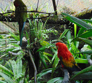 La Paz Waterfall Gardens