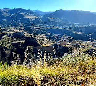 Colca-Canyon