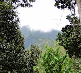 Ausflug Wildfife Expeditions