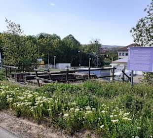 Römischer Vicus Eisenberg in Eisenberg (Pfalz)