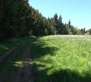 Magolsheimer Buchtalweg