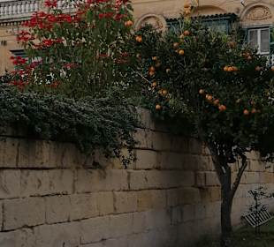 Altstadt Mdina
