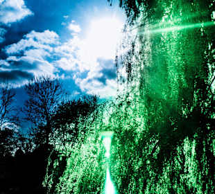 Lake in Regent's Park