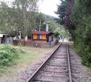 Draisinen Tour Altenglan