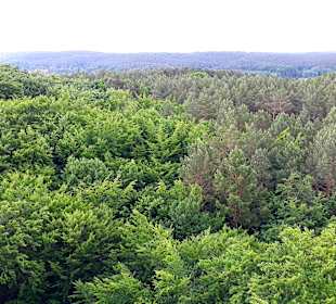 Ausblick