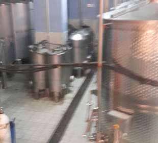 Führung Weinkellerei Boutari