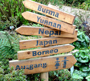 Wegweiser in der Botanika