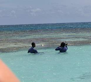 Einfach nur herrlich