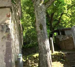 Kloster Maria Reuthin Wildberg