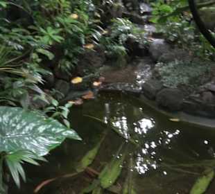 Tropicarium