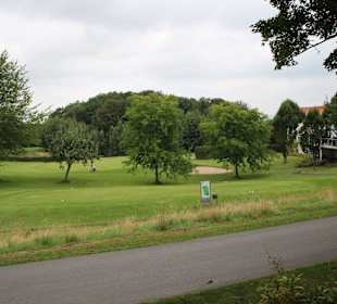 Von Bäumen begrenzt