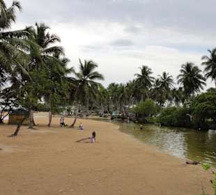 Samana-Las Terrenas Tour