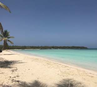 Saona