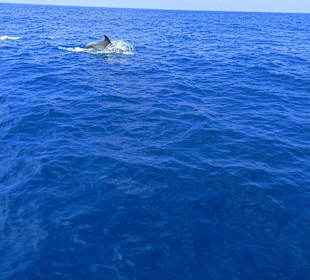 Bootstour Incekum Avsallar