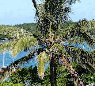 Aussicht von der Terrasse