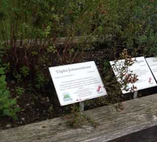 Andechser Kräutergarten