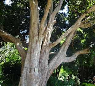 Stadtrundgang Sydney
