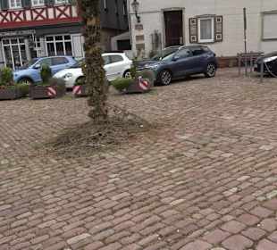 Stadtrundgang Dornstetten