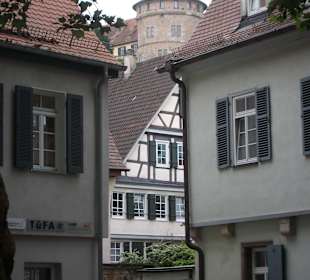 Im Hintergrund Hohentübingen