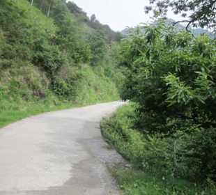 Das wunderschöne Grotto Dangri