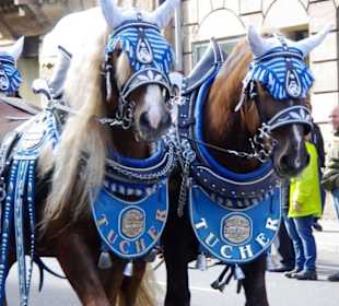 Bierführerverein Fürth