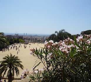 Parc Guell
