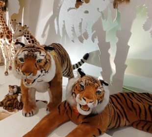 Steiff Museum
