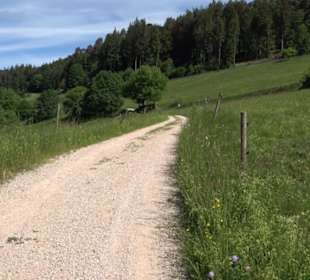 Wanderung Klosterquelle Klosterreichenbach