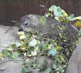 Tropenaquarium Hagenbeck