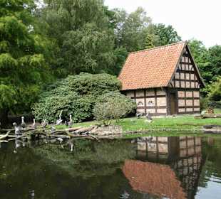 Vogelpark Walsrode