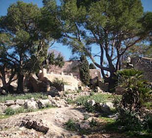 Oben