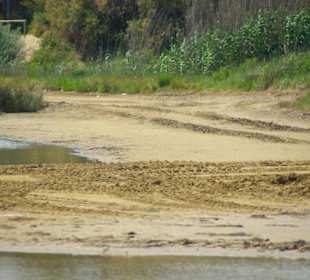 Strand von Bibione 06-2010