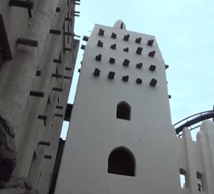 Deep in Africa - Black Mamba