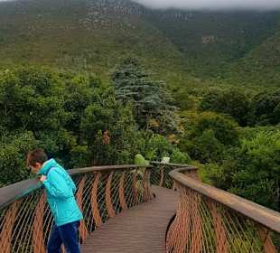 Botanischer Garten Kirstenbosch