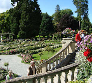 Blick zum Rosengarten