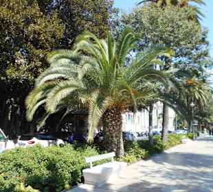 Paseo del Parque