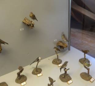 Natur- und Jagdmuseum