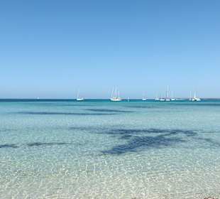 Ausflug zum Traumstrand Es Trenc