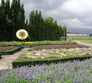 Wundervolle Bumenfelder