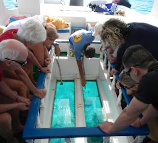 Ausflug mit Glasbodenboot