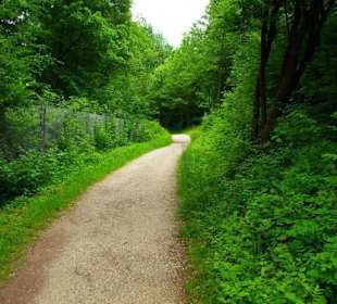 Der Stausee und seine Umgebung