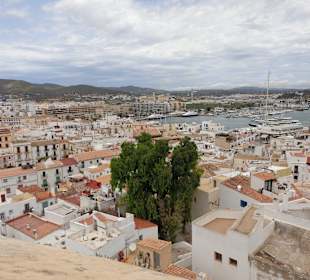 Toller Ausblick von der Burg
