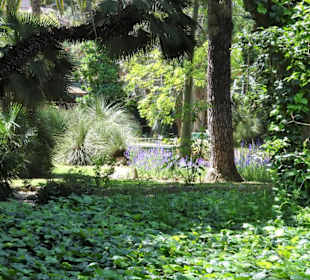Eindrücke aus dem Botanischen Garten
