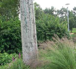 Blühendes Neresheim 2021