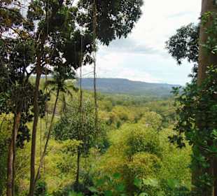 Königlicher Friedhof von Imogiri/ Yogyakarta