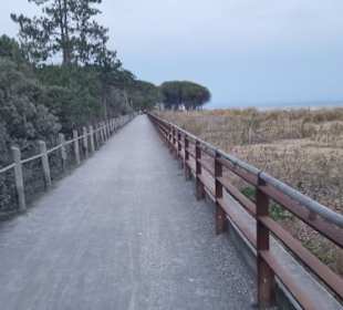 Toller Streckenverlauf