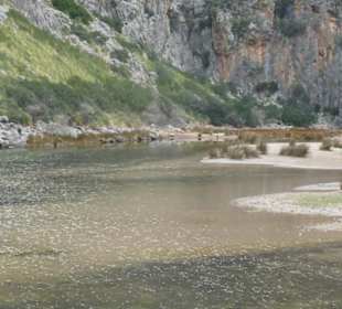 Sehr wenig Wasser im Lauf