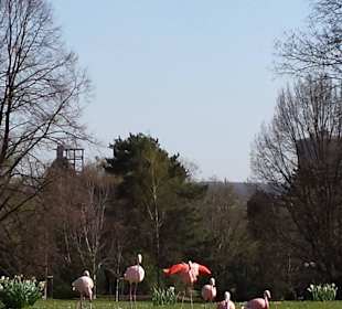 Frühling im Westfalenpark Dortmund
